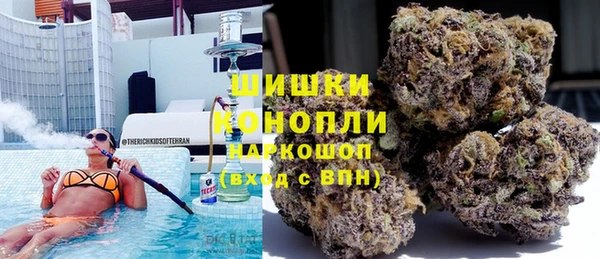 ПСИЛОЦИБИНОВЫЕ ГРИБЫ Алексин