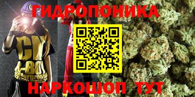 прущие грибы Конаково