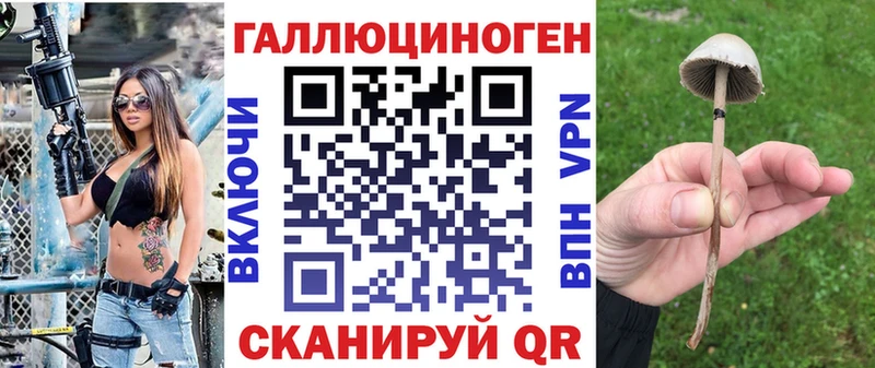 где можно купить наркотик Кропоткин дарк нет какой сайт Псилоцибиновые грибы мухоморы