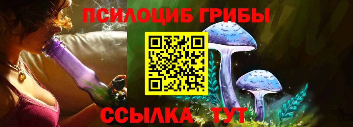 Псилоцибиновые грибы Psilocybe Кропоткин